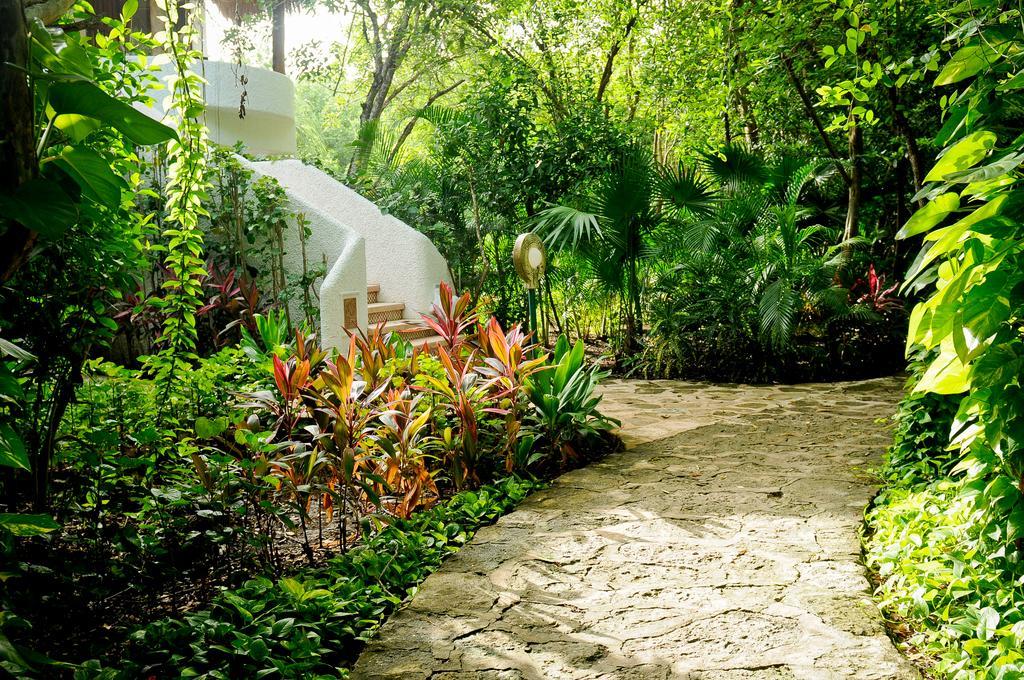 Amarte Maroma Hotel Eco Boutique Spa Punta Maroma Ngoại thất bức ảnh