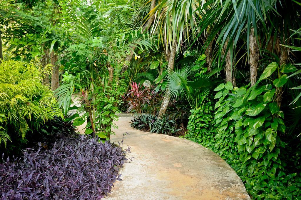 Amarte Maroma Hotel Eco Boutique Spa Punta Maroma Ngoại thất bức ảnh