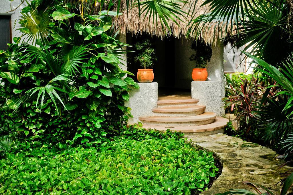 Amarte Maroma Hotel Eco Boutique Spa Punta Maroma Phòng bức ảnh