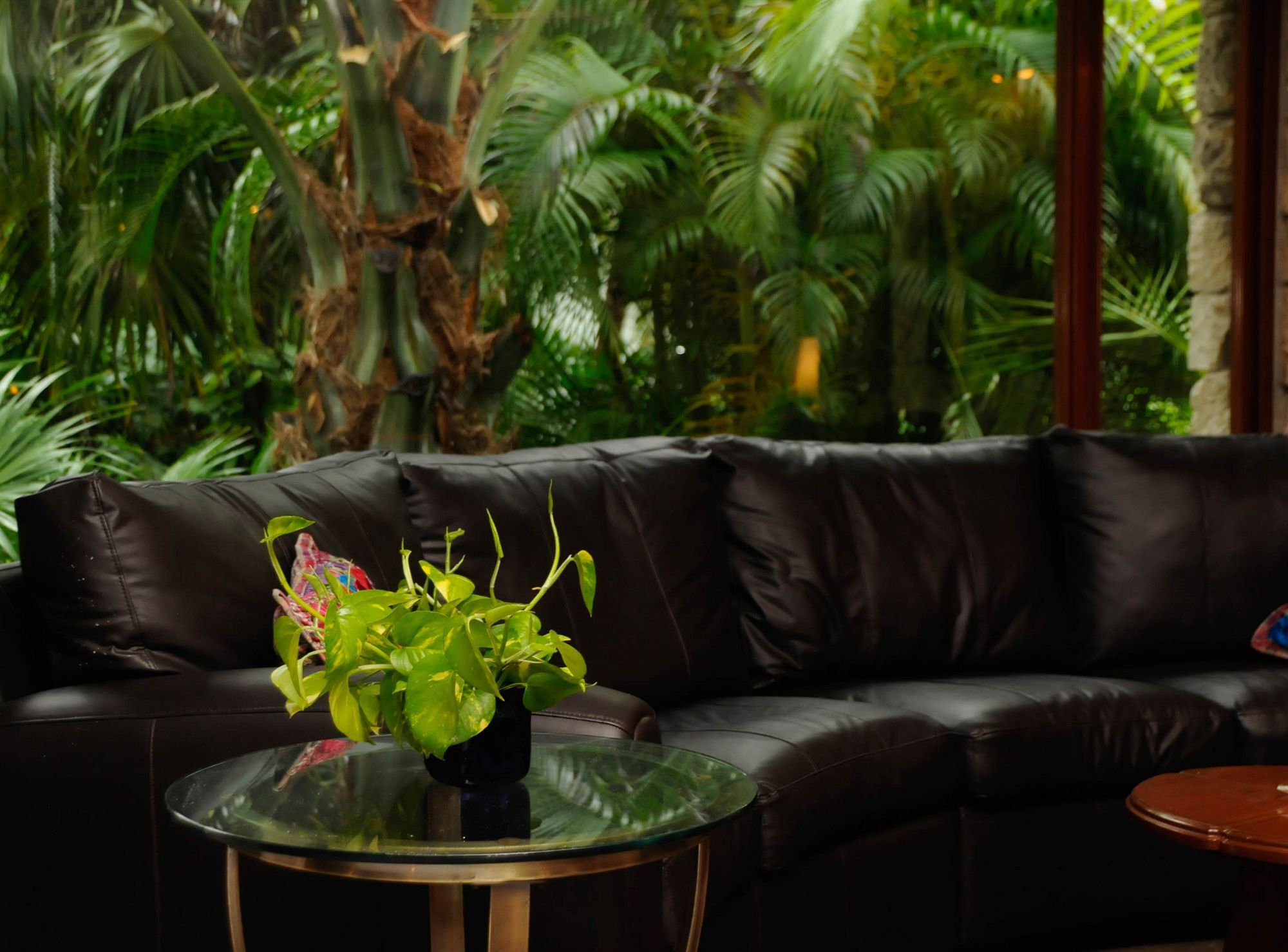 Amarte Maroma Hotel Eco Boutique Spa Punta Maroma Ngoại thất bức ảnh
