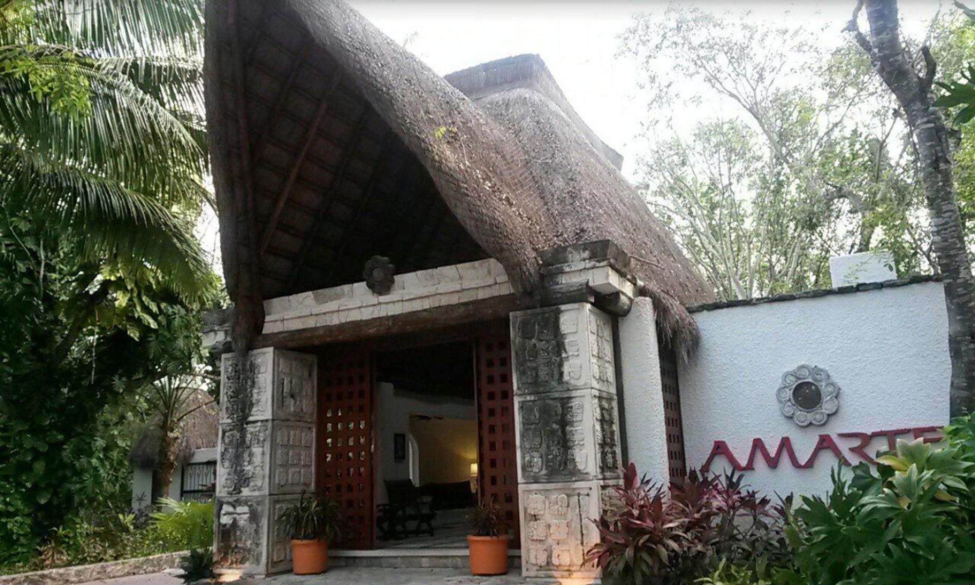 Amarte Maroma Hotel Eco Boutique Spa Punta Maroma Ngoại thất bức ảnh